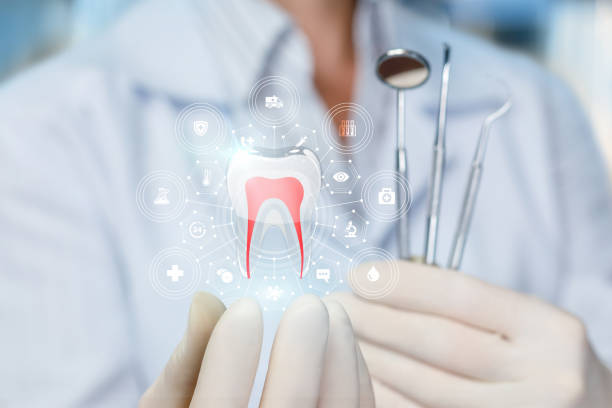 Best Dental Exams and Cleanings  in North River Shores, FL
